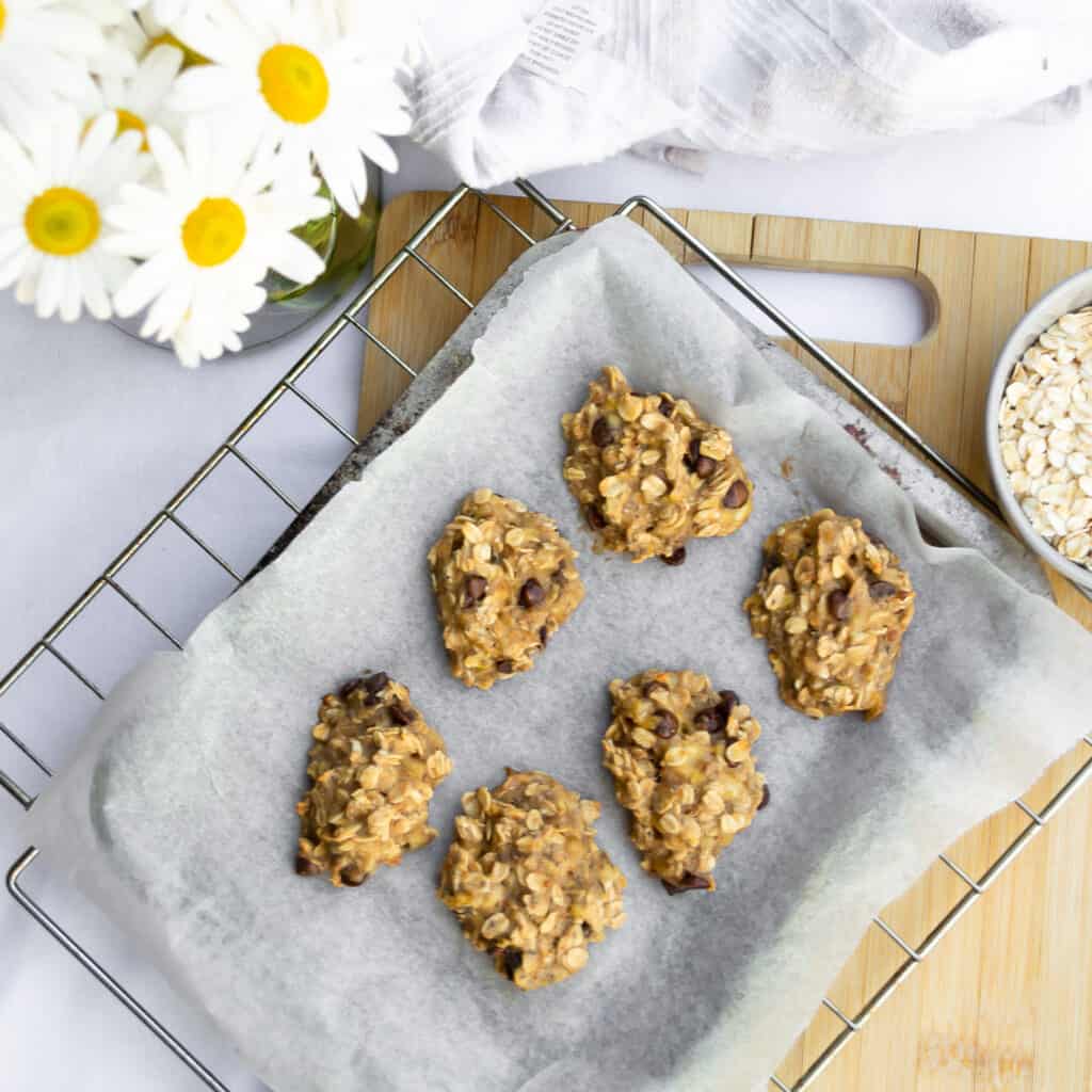 biscoff oatmeal breakfast cookies