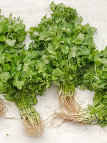 Thumbnail image showing three bunches of coriander on a white table